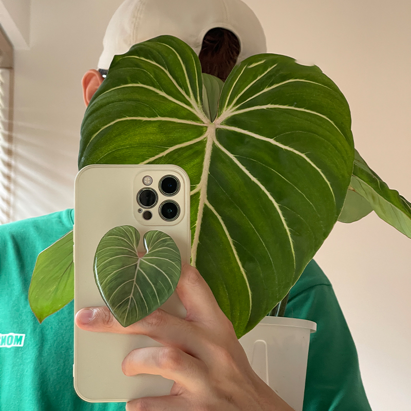 Cute Glossy Popular Simulation - Phone Accessories Vending Machine recension och pris