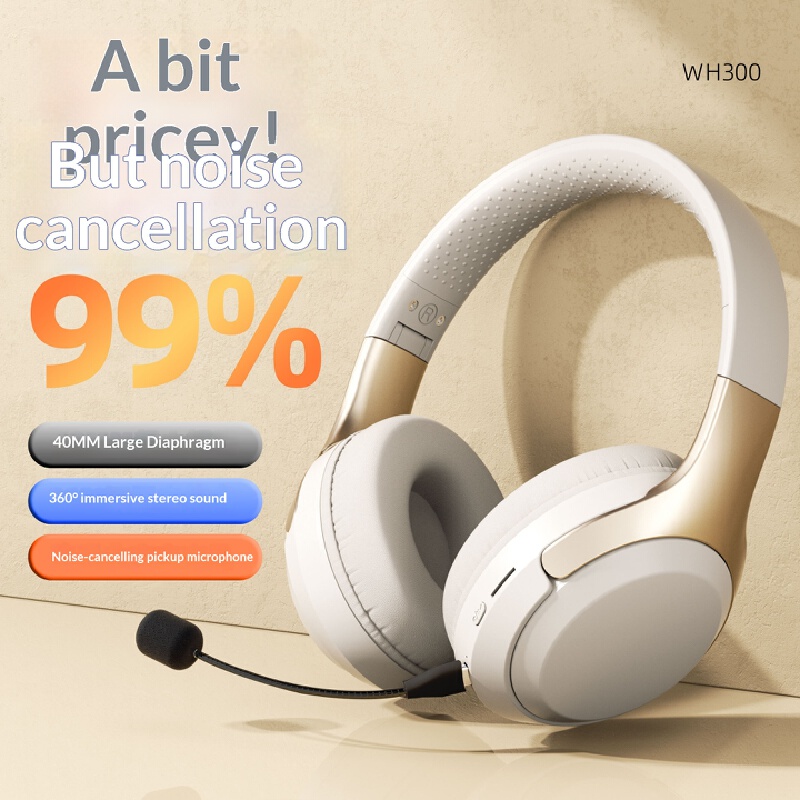 Over Ear Wireless Bluetooth He - Phone Accessories Officeworks recension och pris